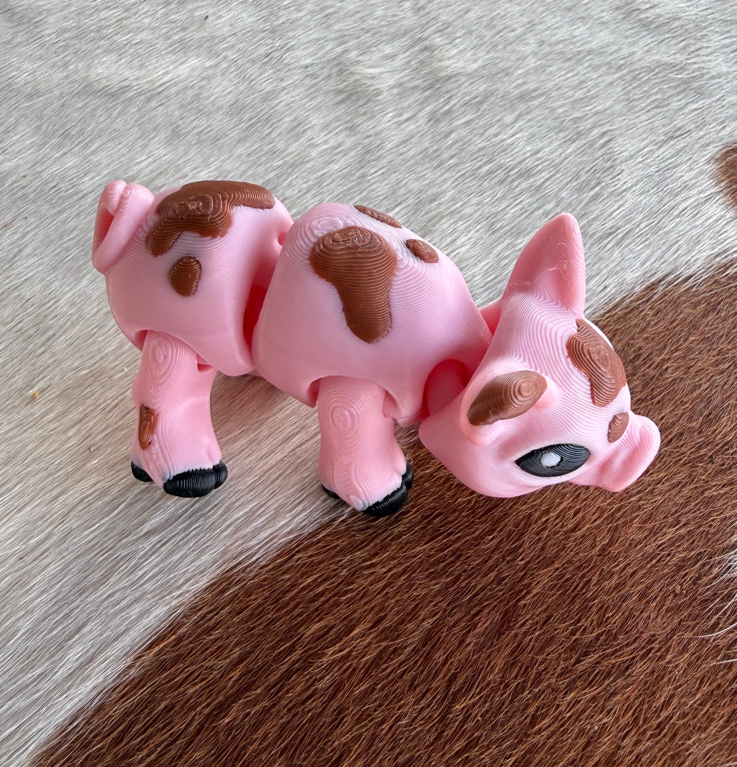Pigs