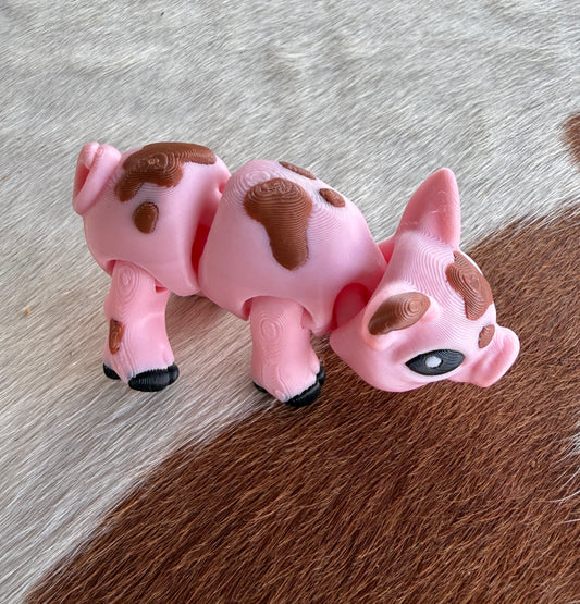 Pigs