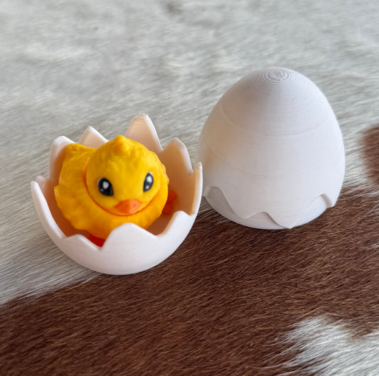 Chick in Egg