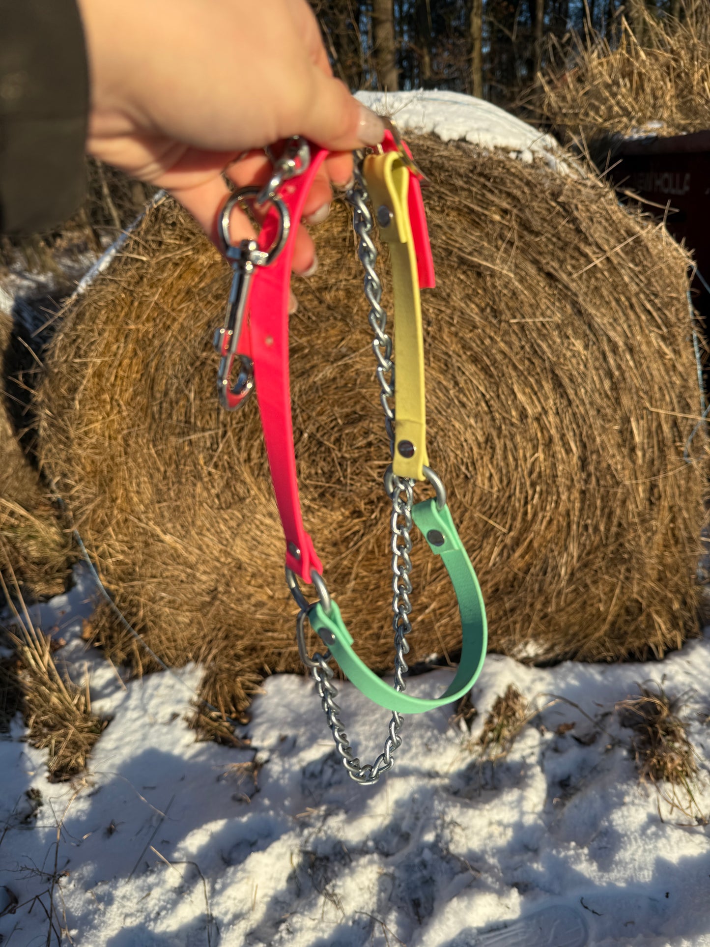 Neon sheep/goat halter